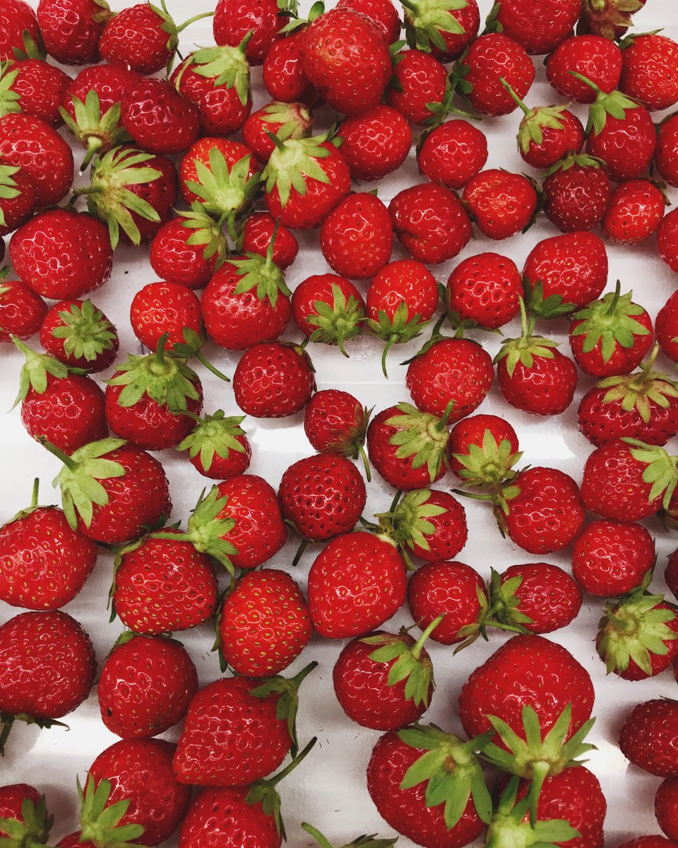 The French Laundry On Twitter Mara Des Bois Strawberries The French Laundry On Twitter Mara Des Bois Strawberries