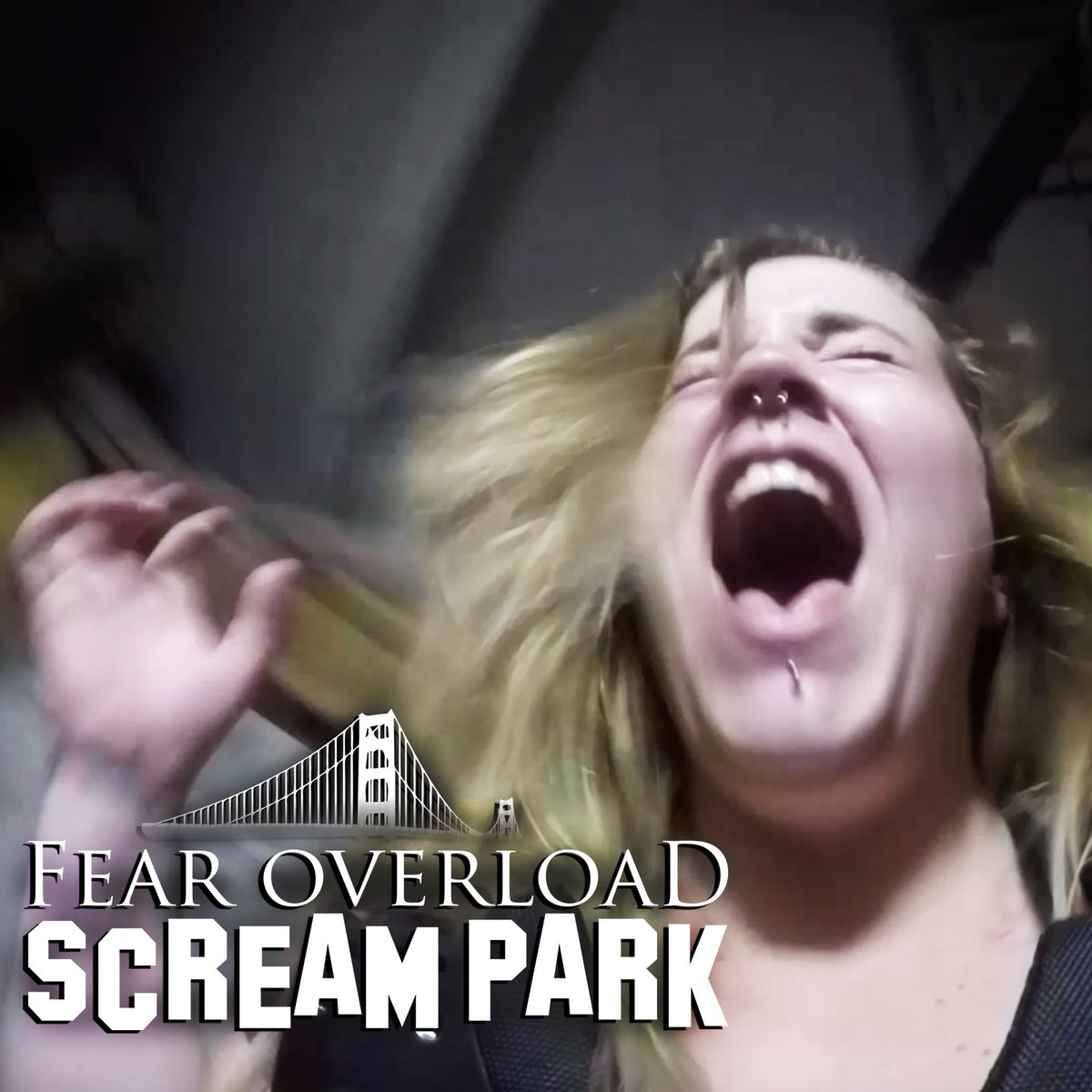 Fear Overload tweet media