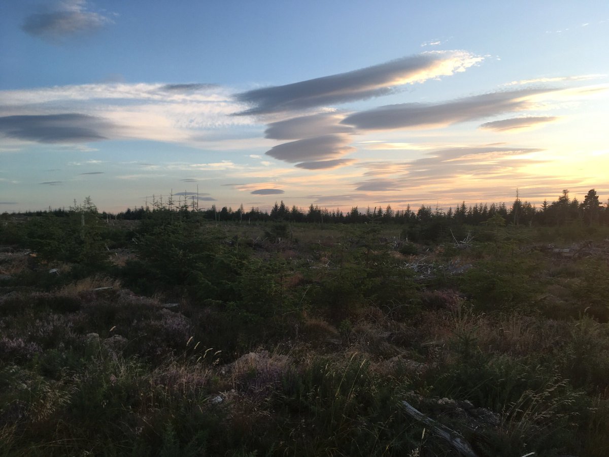 Zararugosa's tweet photo. I have a bit of an obsession with our Highland skies.  I get lost in them.  #BlackIsle #Scotland  #HighlandSky #Highlands https://t.co/gXH6iYh9c4