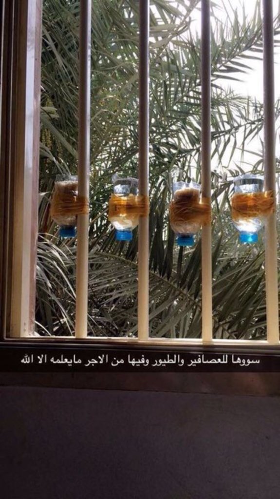 Alhanouuf1417's tweet photo. #لنسقي
استفيدو من علب المشروبات الغازيه او العصيرات 
واقطعوها من النص عبوها مويه والاطراف مرروها ع النار عشان ماتجرح القطط ولا الطيور والعلب سواً تعلقونها بالطاقات اذا تجي فيها طيور او بالحوش او بالشارع للققط https://t.co/Oz8M25HHJA