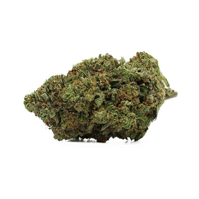 highgradeaid's tweet photo. Take me to Paris πΌπΌπΌ
.
.
#420life #cannabis #weed #Paris #pothead #stonerlife #fueledbythc #cannabiscommunity #weshouldsmoke #blessedbetheblaze #highgradeaid #hightimes #france #iloveweed https://t.co/2HMHM7nSoW