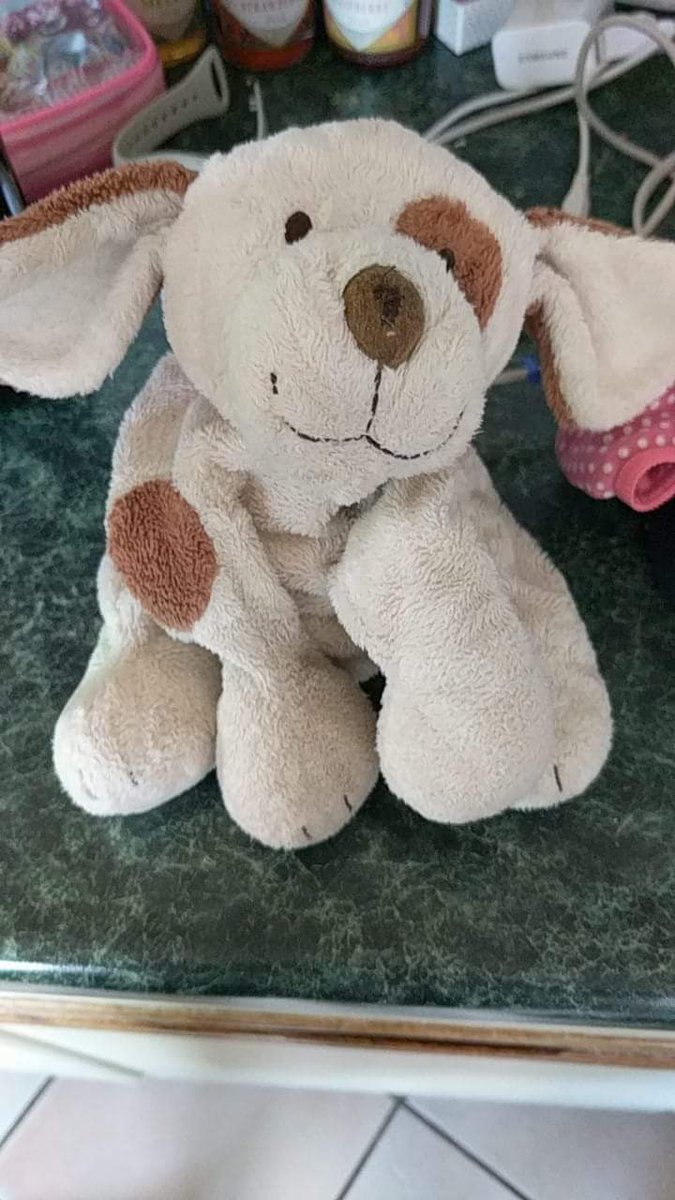 Lost in Lincoln somewhere between drs surgery on Monks Rd and Waterside Centre on 24/7/18.
I have one upset 6 yr old girl, thats had this scruffy little fella from birth.
Please share and let the power of social media bring him home.
Small reward if unharmed