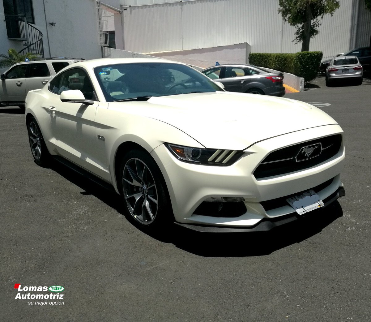 FordLomasMX's tweet photo. Checa nuestro inventario de #Seminuevos Multimarca con respaldo de agencia. Compra a la segura en #FordLomas
https://t.co/grbaeUqct0 https://t.co/797VvnbVAW