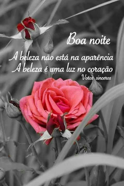 anaberssani1's tweet photo. @SLdslo @Claudia49286925 @gilvanroots @subeida1 @GGJAYME3 @Bruno77821351 @robertopunk85 @marcio_alexan @modenafatima @Ireninha31 @Cristia52946341 @Cleythynho07 @jhe_sccp1910 @Osvaldo31151382 @MarcosR88199385 @gildetecamargo @lulu_sccp_ @RizziRocha @Doente98715 @FabianoLopesDe5 @gatalindaas @Ta_tiiic @Paty__Sccp @mantoliva @agfon21 @lulu_sccp @juliosimesdejr1 @Loirao58 @gonzzaggajaayme Boa noite Leandro! Bom descanso querido. 😘😴💐 https://t.co/3oG9hUIUnT