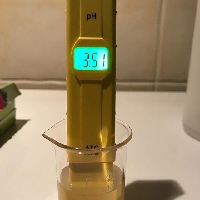 7floorbrewing's tweet photo. Wtf?! 6h after pitching the lacto blend from @omegayeast_ ! #homebrewing #homebrew #berlinerweisse #lactoblend #omegayeastlabs #wild #lactobacillus #sourkettle https://t.co/lT5RSgCJ3R https://t.co/cvRKbT3erF