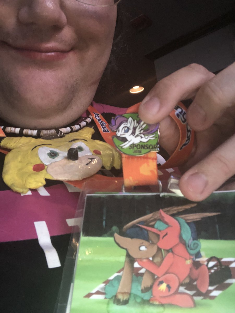 CWCSonichu's tweet photo. This Year’s BronyCon is sponsored in part by the Nation of Cwcville, and the Sonichus and Rosechus. ⚡️💙⚡️ https://t.co/BwAxqF0g2i