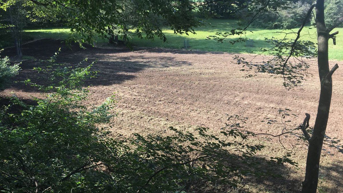 Backwood_Hunter's tweet photo. Who is getting ready to plant some food plots this weekend? https://t.co/hpLb9mD4ZX