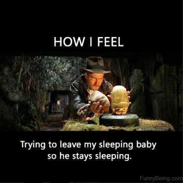 Quality_Sleep_P's tweet photo. https://t.co/O344ZqBssT