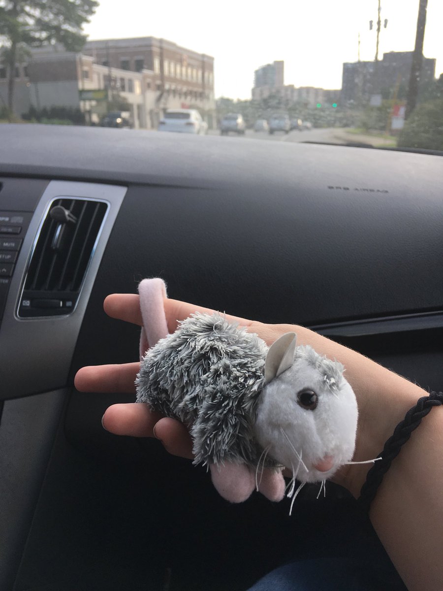 ElsaMarie2002's tweet photo. @JackZagg @JonathanRado @kbasko Itty bitty opossum puppet coming your way https://t.co/N6AuuUNVOY