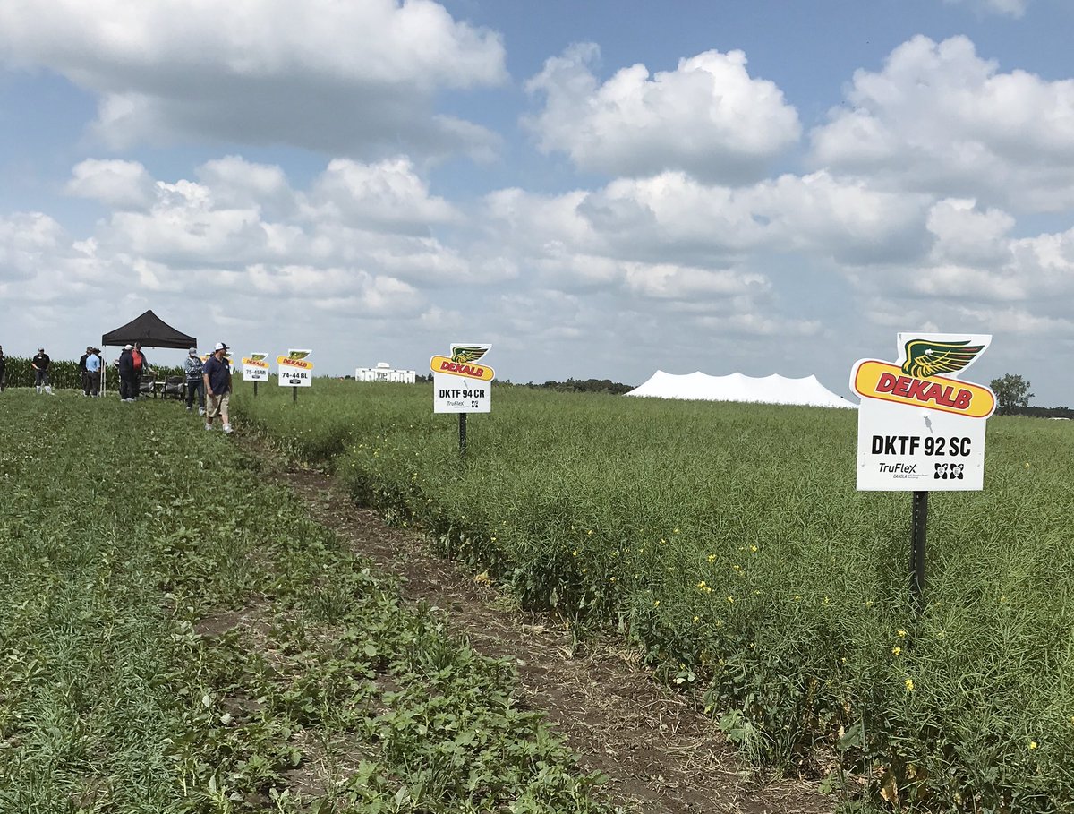 fisher_court's tweet photo. Gorgeous day for a #DKTechWalk! Learned a lot about what’s coming down the pipeline and brushed up on some important agronomics! #DEKALB #TrueFlex #agriculture https://t.co/iux6tgWju4