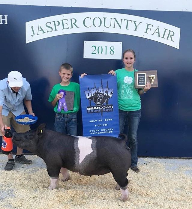 Diamondbshowpig's tweet photo. Congrats to Alyssa Bassett!
Grand Champion Commercial Gilt
Grand Champion Breeding Gilt
Grand Champion Overall
2018 Jasper County Fair
The gilt was raised by us purchased at our Annual Spring On-Farm Sale.
#BEARDOWNBound #LindnerFed https://t.co/9ahpoGA4B4 https://t.co/8ZLJUtlRCE