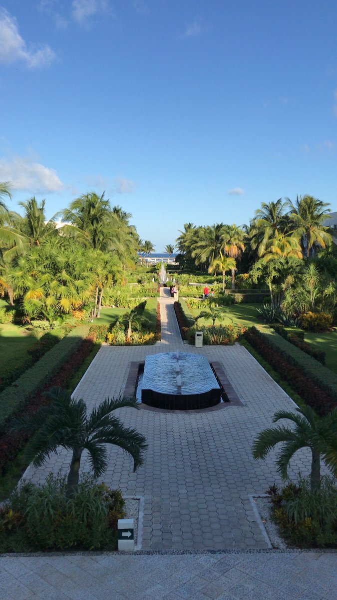 AlmaNanni's tweet photo. Nos volvemos a encontrar @Dreams_Tulum! Ahora a festejar la llegada de los 30’s! 🎂🏝 https://t.co/Ej2EKdMckx