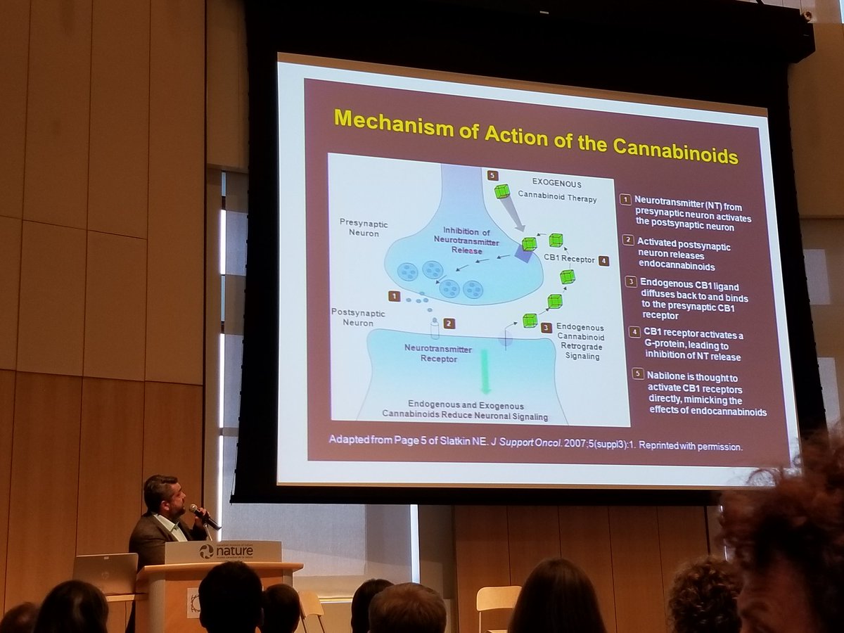 Epilepsy_Ottawa's tweet photo. Dr. Eric Sell talks about how cannabinoids work in treating epilepsy #BrainTalk #BrainAtTheMuseum with @OntarioBrain at @MuseumofNature https://t.co/bSQmfrqafq