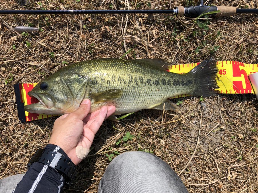 ジークラックのイモリッパー60のインプレ情報 最適なフックサイズは ワーム部