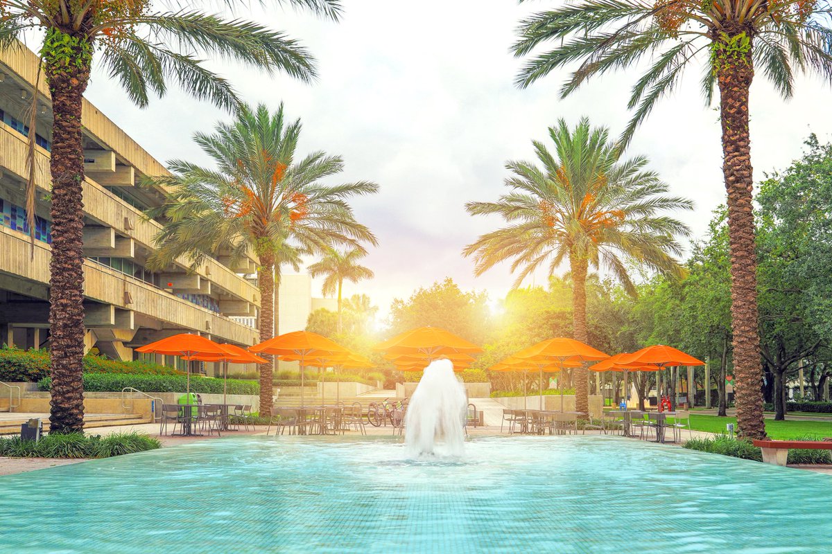 LifeAt_TheU's tweet photo. This view got us in our feelings. π§‘ππ #insideum https://t.co/q8e96KbaNH