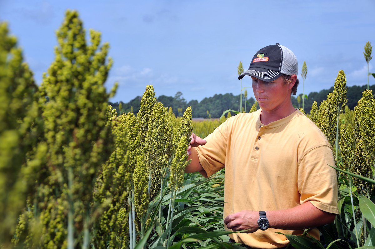 NC State Extension tweet media
