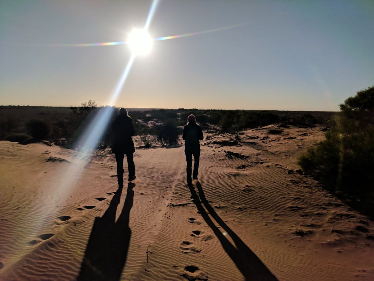 AridRecovery's tweet photo. Magic mornings doing track surveys. Every 3 months we walk 35km of dunes at @AridRecovery counting tracks of Bettongs, Bilbies, Bandicoots, Stick-nest rats, and now #Quolls (!). This is our 22nd year adding to this dataset. #Wildoz #FieldworkJoys https://t.co/wPsqVhBMx5