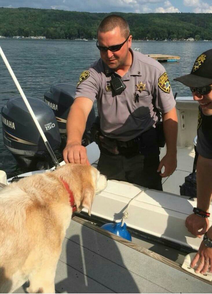 sheriffspike's tweet image. Yates Co Sheriffs Marine Patrol Unit  officers meet another Keuka Lake resident &quot;Chloe&quot; while on patrol and always have milk bone snack on board to share. Many dockside canines know the patrol! Stay safe - make sure make shore.