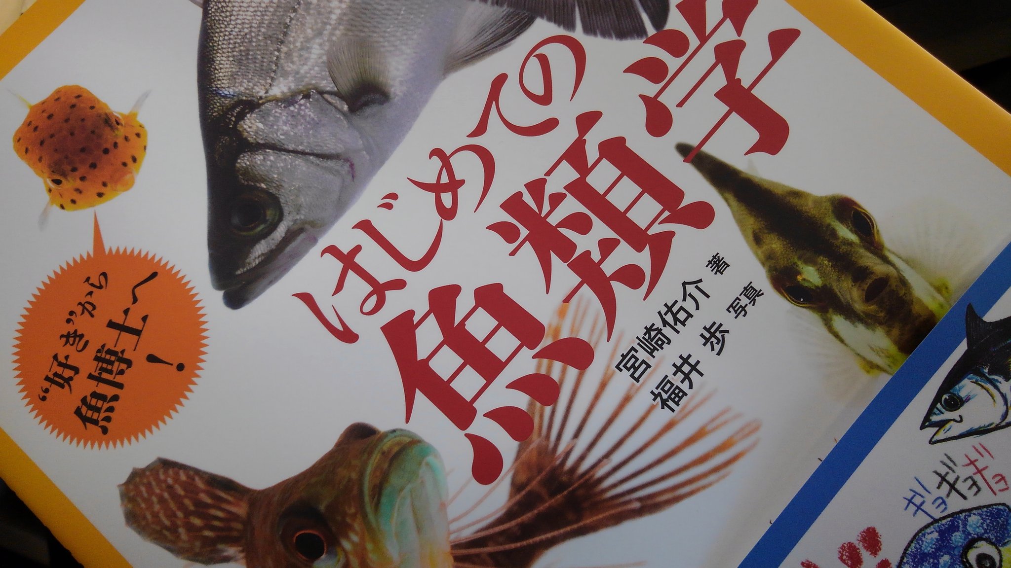 オイカワ丸 Twitterren 今月出たばかりの本 はじめての魚類学 非常に幅広く濃密な内容で魚類学 が学べます 散りばめられた魚の写真も美しく ちょっとした図鑑にもなってます これまでにない魚本でおすすめ 勉強になります T Co 118adlelyg Twitter