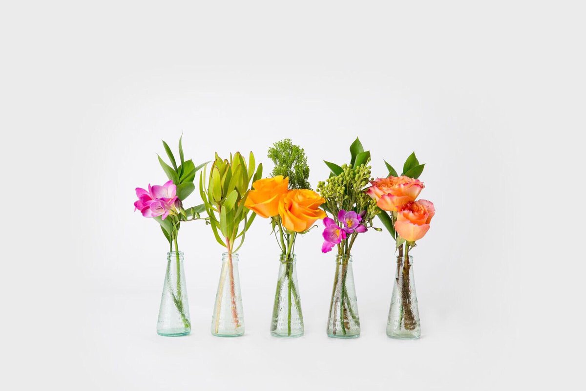 Buds 🌸🌿🌼🍃🌷