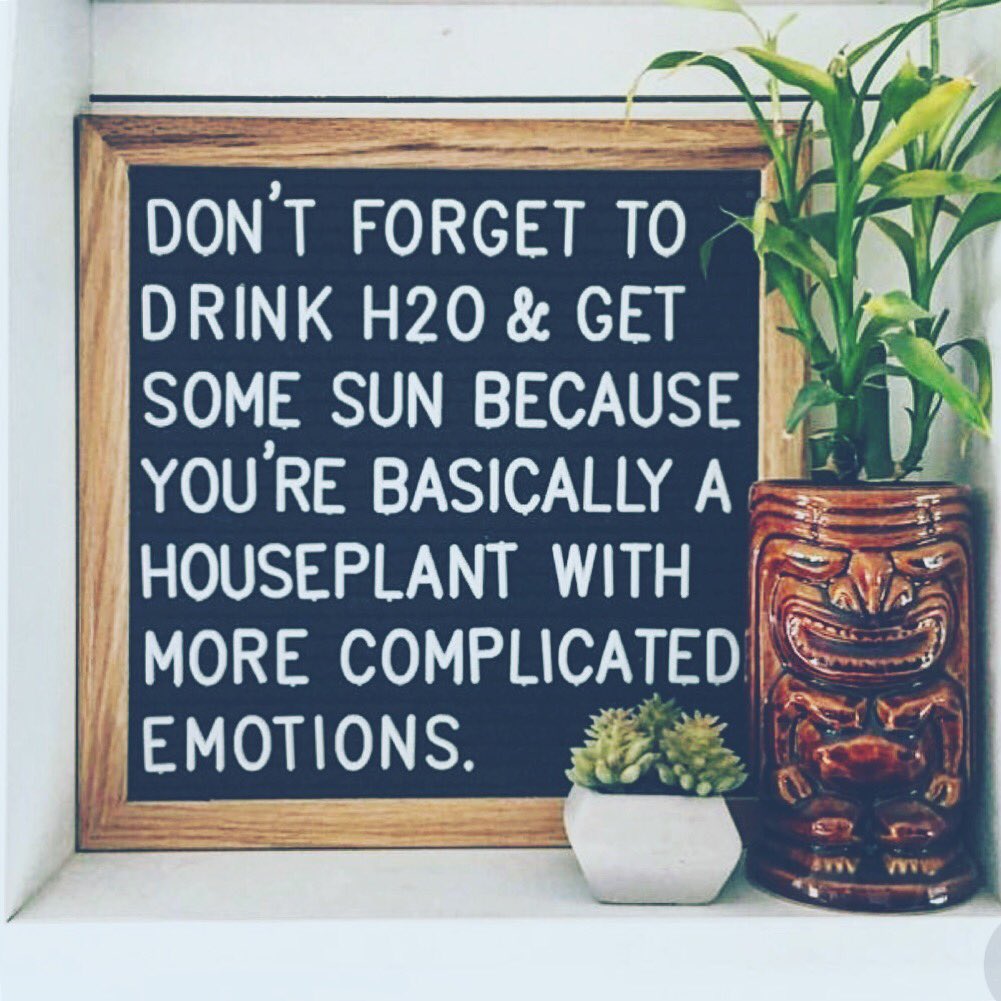 Drink your water and get some sun because you’re basically an emotional houseplant! #heresyoursign #drinkh2o #houseplant #quote #plants #words #water #sun #wateryourself #feels #decor #IntrospectiveGarden #arkansas #plantladyisthenewcatlady