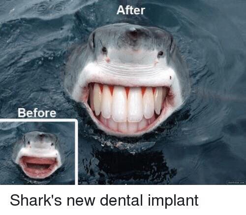 MsFacial's tweet image. Happy Shark Week!!