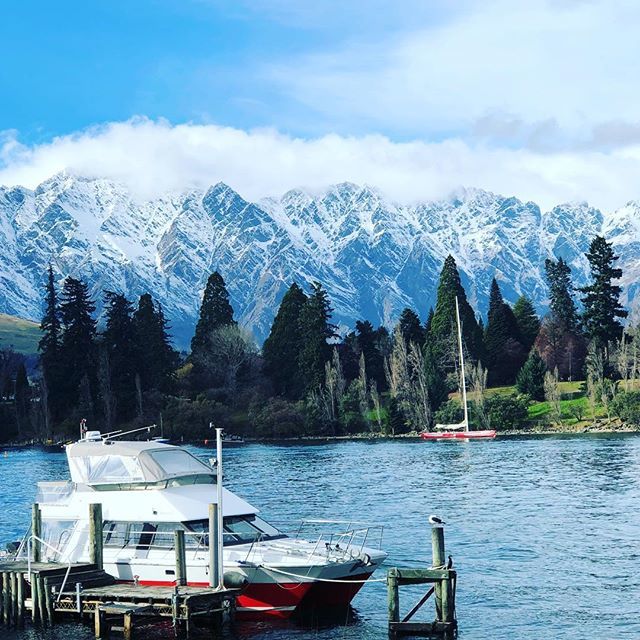 AndrewKellyBPP's tweet photo. Guess where? Q’town! Best little@biotech conference in the world #bioshare #biopacific https://t.co/4tJA11dpLO https://t.co/eoF6dPcrud