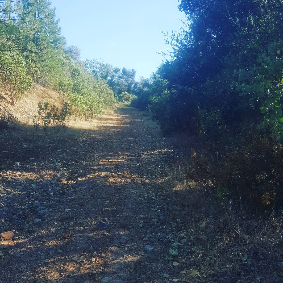 BeckyGomes9's tweet photo. Heat training in 103 degrees with hill repeats. #puttinginthework #Tahoe200bound #singletrackrunning #staystrong #maderaoutdoorco https://t.co/MXMPxgFejs