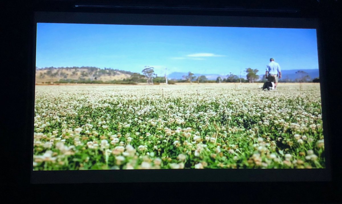 HotTinRoofCom's tweet photo. #pastureprinciples #ltem together with professional advice and ongoing learning...take advantage of what’s on offer says Scott Colvin #virtualfarmtour ⁦@RedMeatUpdates⁩ ⁦@meatlivestock⁩ ⁦@tpjonesagronomy⁩ https://t.co/fpfPHqZOPb