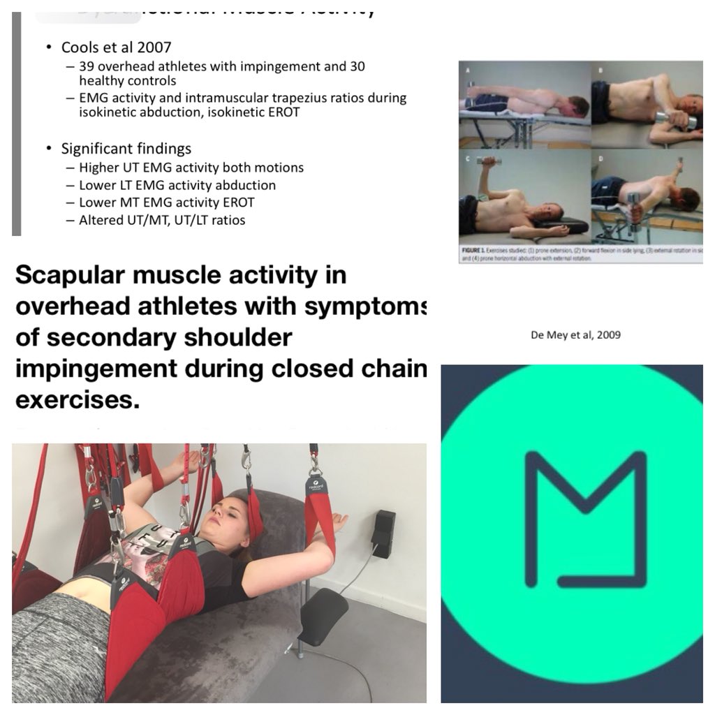 The Masterclass (@masterclass_be) on Twitter photo Using #redcord to optimize #lowertrap activation ! Restore functional movement patterns in Closed Chain excercises ! <a href="/anncools4/">ann cools</a> <a href="/BartDingenen/">Bart Dingenen</a> <a href="/Aspetar/">Aspetar سبيتار</a> <a href="/ThePrehabGuys/">Prehab®️</a> @ncbi_pubmed <a href="/bmkibler/">Brian Kibler</a> <a href="/mikereinold/">Mike Reinold</a> Using #redcord to optimize #lowertrap activation ! Restore functional movement patterns in Closed Chain excercises ! <a href="/anncools4/">ann cools</a> <a href="/BartDingenen/">Bart Dingenen</a> <a href="/Aspetar/">Aspetar سبيتار</a> <a href="/ThePrehabGuys/">Prehab®️</a> @ncbi_pubmed <a href="/bmkibler/">Brian Kibler</a> <a href="/mikereinold/">Mike Reinold</a>