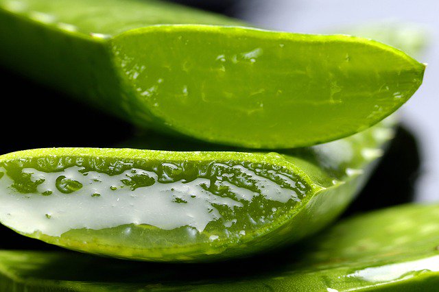 villaiverde's tweet photo. Tenemos gel con aloe vera, germen de trigo y árbol del té para cuidar la piel irritada por el #Sol. Seguimos con las #rebajas. Os esperamos! #Madrid #Chamberí #Vidasana https://t.co/Ncz4OevKPB