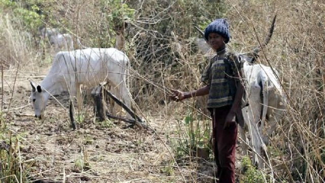 Angel923FM's tweet photo. Nigeria’s communal clashes deadlier than Boko Haram: Report https://t.co/E6i2OcDC3z https://t.co/TeEJtNr2Ql