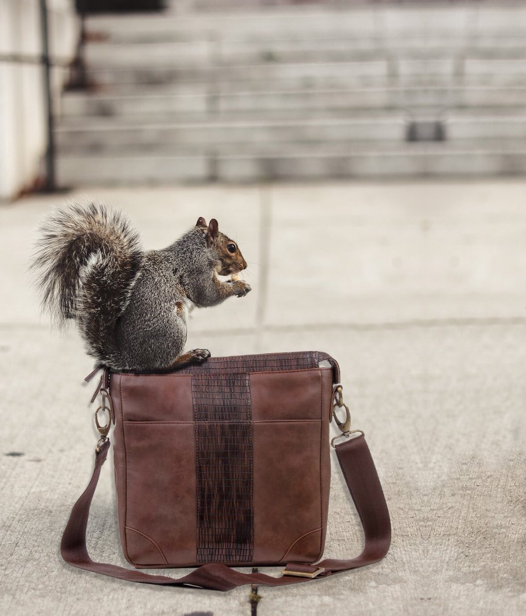 mohawkbags's tweet photo. Exploring bags for your daily commute?

#dailycommute #commute #mohawkbags #bagoftheday #musthavebags #trending  #shoponline #shopnow  #onlineshopping #essentials #lifestyle #bagsforupstarts #bags #designer #mensfashion #designerbags https://t.co/r6XoiPOI60