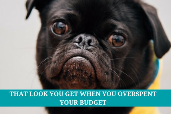 thriveinvestor's tweet photo. I'm sorry ...but, but 🤷🏼‍♀️ https://t.co/PMekIBQ8Rw