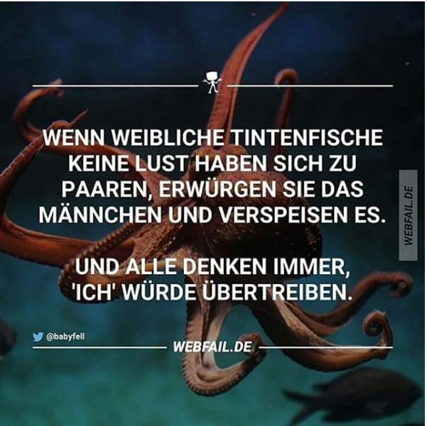 CrazyNews (@crazynews12) on Twitter photo 