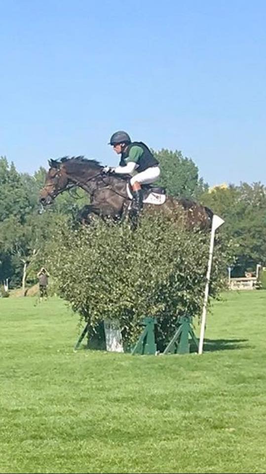 beddownbedding's tweet photo. Splash giving it some over the bullfinch at #Hickstead yesterday in the eventers challenge! Splash jumped beautifully over all those famous fences for one of the very few clear rounds! @SimonjGrieve #teambeddown #sponsoredrider #excelplus #premiumbedding #maximisesperformance https://t.co/gnWfkug3PX