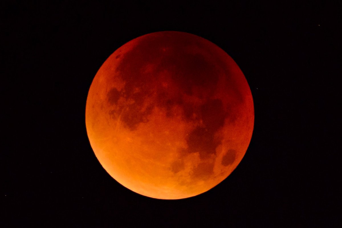 RosieMilesPoet's tweet image. Really good of the moon to help the UK out with its Brexit omnishambles so we don't have to go through with it. #BloodMoon #Armageddon #LookBusy