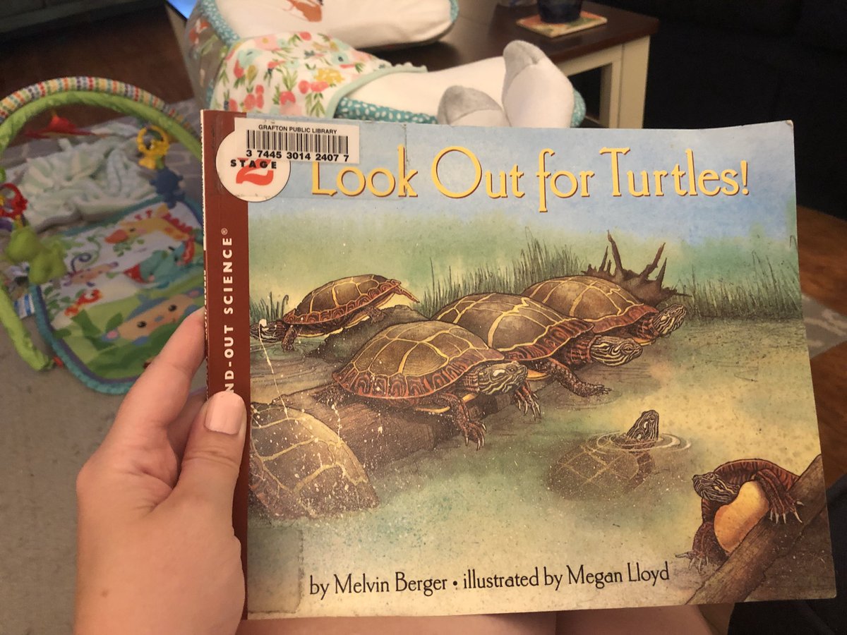 MrsBrazell22's tweet photo. Book 22 was full of fascinating facts about turtles! Did you know there’s a type of turtle was is over 6 feet long? Or one type that can swim a mile in 3 minutes?! Check out this book for more fun facts and great illustrations.  #bookaday #dunningreads #FPSSummerReading https://t.co/NaqoJ5fri4