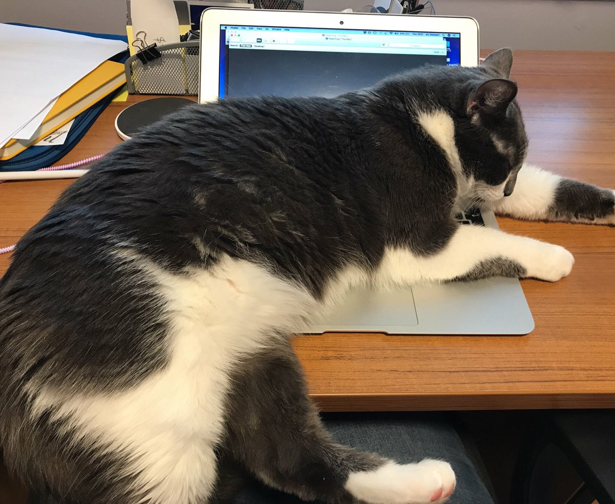 MJ (Marietjie) Slabbert Keilty 🚁 🐈‍⬛ tweet media