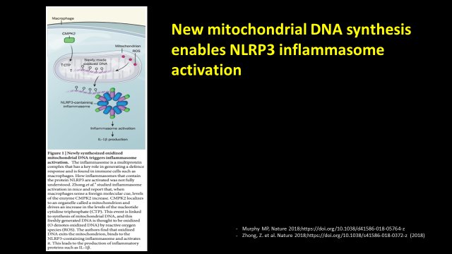 fernanmeneses's tweet photo. New target for inhibition of NLRP3 inflammosome,which is activated in response to cell debris during acute MI. This strategy could act through the inhibition of CMPK2 protein,which promotes mitochondrial DNA 
https://t.co/wg6xKuQE5v could reduce myocardial infarction size. https://t.co/sgLbENl6f0