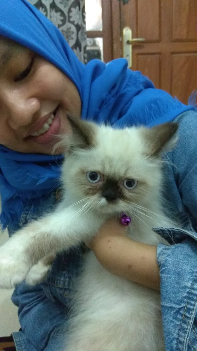VRhanietha's tweet photo. Hi, my little boy miki😻😻 https://t.co/mEdhVzdnum