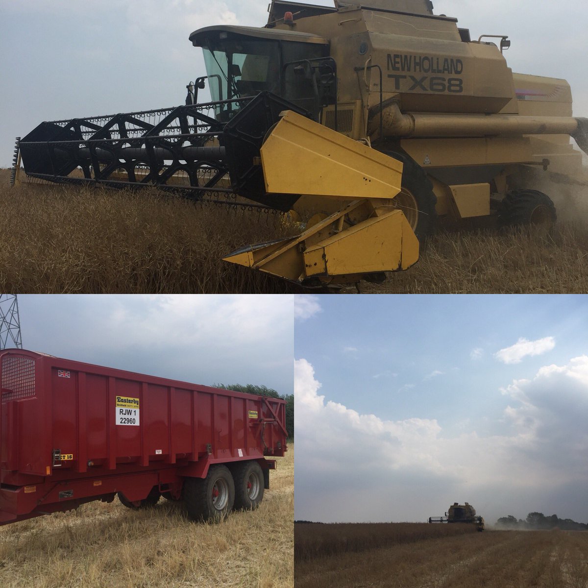 witter_10's tweet photo. Well that the Oilseed Rape done just before the rain came! Fortunately the moisture started at 8.8% and we got the last loads in at 6.2%... will take that gratefully this year #harvest2018 #tx68 #easterbytrailers #newholland #Aquila #Canola #OilseedRape 🚜 https://t.co/0HmEu9o5YV