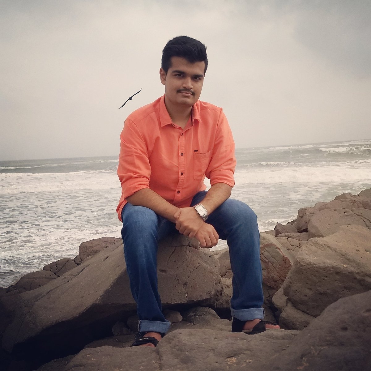 Darshit K Bhamani tweet media