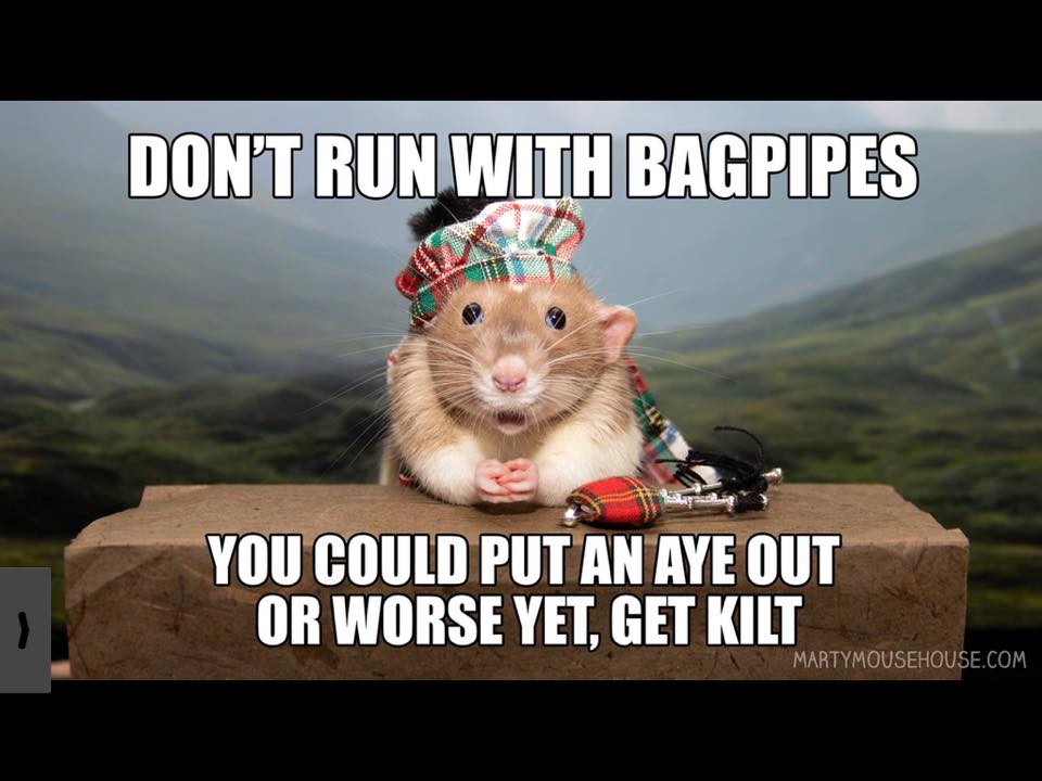 #aye #Bagpipes #Scotland