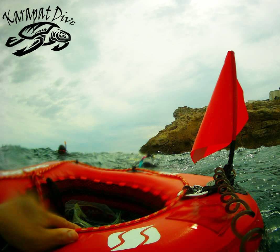 karapatdive's tweet photo. Nuestro Snorkel en la costa Brava son fantasticos!
@PADI @elpaissemanal @tecnologiafacil @YouTube @ConservasBalea #underwater #hero #escala #buceo #divingcourse #scuba #diving #gopro4 #Costabrava #aguascristalinas #submarinismo #inmersiones #fundive #snorkel #diving #goprodive https://t.co/pyr90yKERy