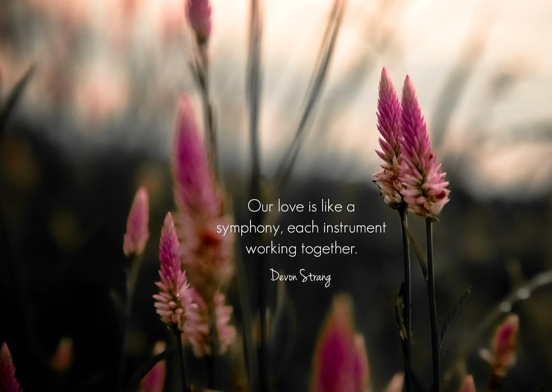 devonstranger's tweet image. Daily Haiku 1086. (c) Devon Strang #haiku #dailyhaiku #devonstrang #poet #poem #poetry #write #writer #writing #words #wordporn #love #lovepoem #lovequote #symphony #instrument #instruments #harmony #melody #music #musical