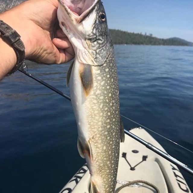 AnglingWes's tweet photo. #Repost @fishsniffer with @get_repost
・・・
When hard work, patience and persistence pays off - Mack in the Yak! @anglingwes #fishing #fishin #fishsniffer #angler #kayak #kayakcity #catchoftheday #kayakfishing #kayakangler #laketahoe #keeptahoeblue #th… https://t.co/CBAuZ8UiRL https://t.co/Ty1ZXNwVR7