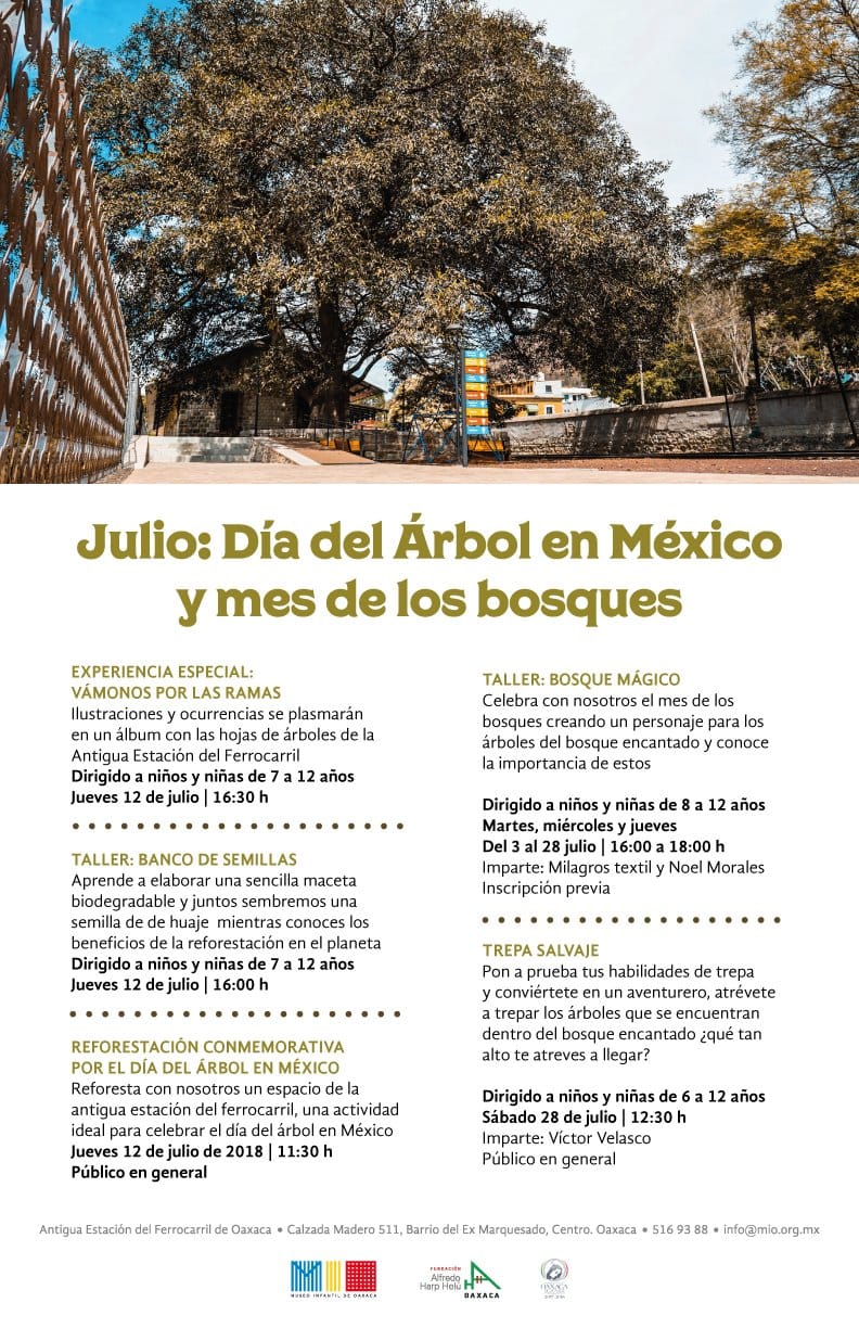 7° Campeonato Mexicano de Trepa de Árboles – Asociación Mexicana