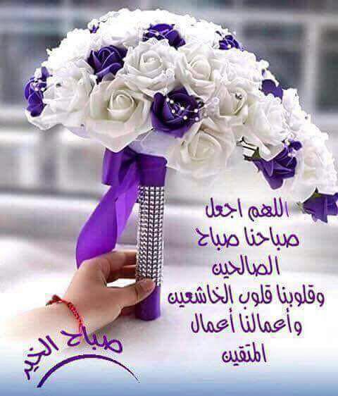 mohamed halawa (@mohamed25217834) on Twitter photo 