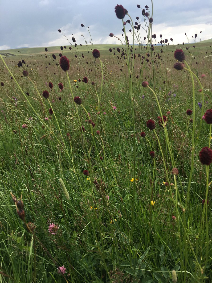 Ülkemdeki Müslümanlar adına en önemli dileğim; kul hakkı yememe hassasiyetimizin, domuz eti yememe hassasiyetimize ulaşmasıdır.